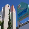 Image of Sun and Sand Resort Oceanfront Suites