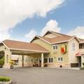 Photo of Super 8 by Wyndham Fortuna Avenue of The Giants