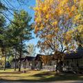 Photo of Super 8 by Wyndham Gananoque/Country Squire Resort
