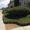 Photo of Super 8 by Wyndham Idaho Falls