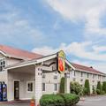 Image of Super 8 by Wyndham Shelton