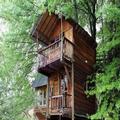 Exterior of Sycamore Avenue Treehouses