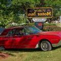 Photo of T Bird Motor Inn