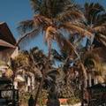 Image of Tago Tulum by G Hotels
