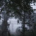 Photo of Tea Valley Resort