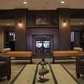 Image of Teddy's Residential Suites New Town
