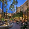 Image of Tempe Mission Palms