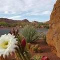 Photo of The Inn at Entrada