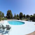 Image of The Majestic Regency Resort