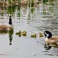 Photo of The Moorhead Bed & Breakfast