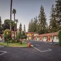 Photo of The Palo Alto Inn