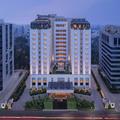 Photo of The Raintree, Anna Salai