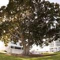 Image of The Sebel Mandurah