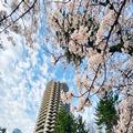 Exterior of Tokyo Marriott Hotel