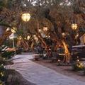 Image of Tommy Bahama Miramonte Resort & Spa