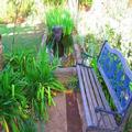 Image of Top House Bed & Breakfast