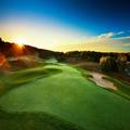 Photo of Treetops Resort