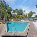 Image of Tropical Palms Resort