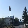 Image of Tulip Inn
