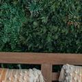 Image of Turtle Bay Inn