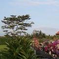 Exterior of Ubud Wana Resort