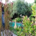 Image of Ukarimu Guest House