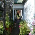 Exterior of Valley Guest House