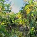 Image of Victoria Falls Waterfront