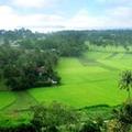 Image of Vietstar Resort & Spa
