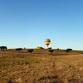 Photo of Vila Gale Alentejo Vineyards Hotel - Clube de Campo