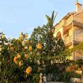 Image of Villa Pape