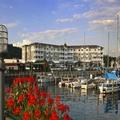 Photo of Watkins Glen Harbor Hotel