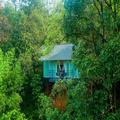 Photo of Wayanad Wild Rainforest Lodge by Cgh Earth