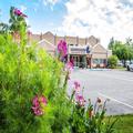 Exterior of Wedgewood Resort