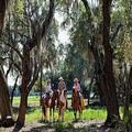 Photo of Westgate River Ranch Resort & Rodeo