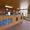 Image of Wild Bear Inn
