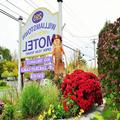 Image of Williamstown Motel