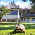 Image of Winelands Villa Guesthouse & Cottages