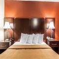 Image of Wingate by Wyndham Marietta Conference Center