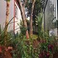 Exterior of Wonder View Guest House