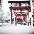 Photo of Yasuragi