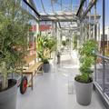 Exterior of Zoku Copenhagen