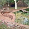 Image of Zulu Land Tree Lodge