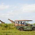Image of Zululand Safari Lodge