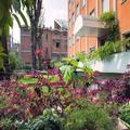 Photo of eco Hotel Milano & BioRiso Restaurant