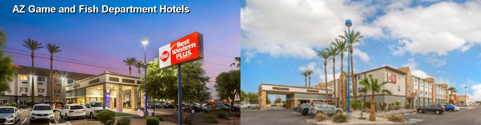 5 Best Hotels near AZ Game and Fish Department