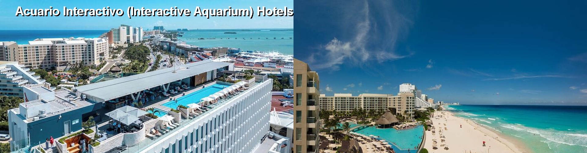2 Best Hotels near Acuario Interactivo (Interactive Aquarium)