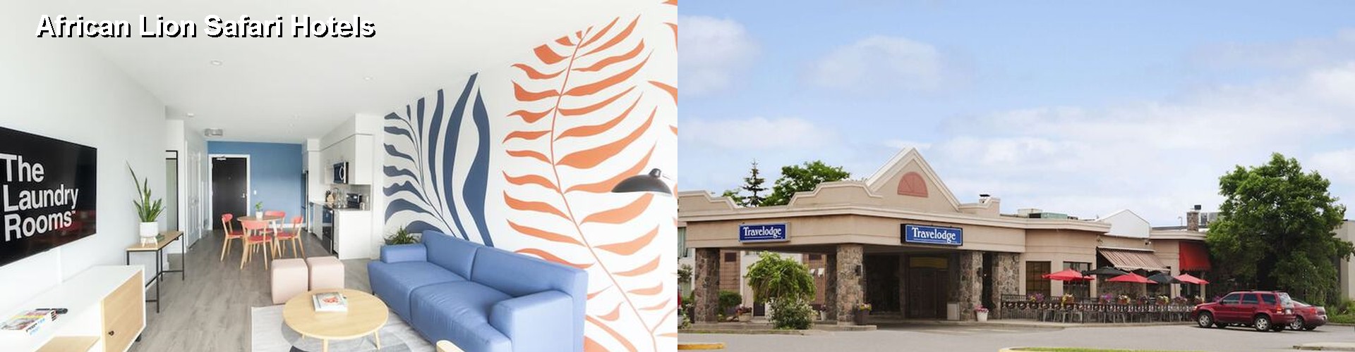 5 Best Hotels near African Lion Safari