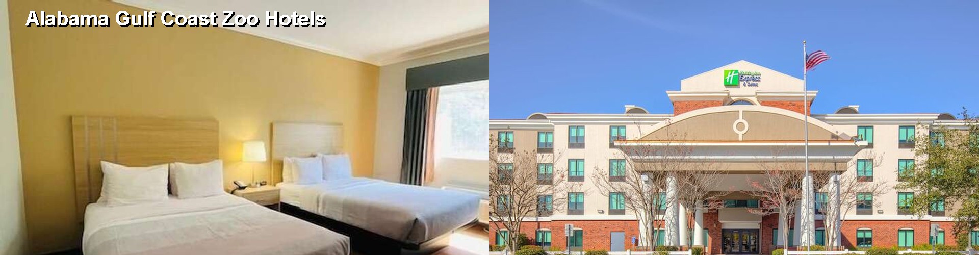 5 Best Hotels near Alabama Gulf Coast Zoo