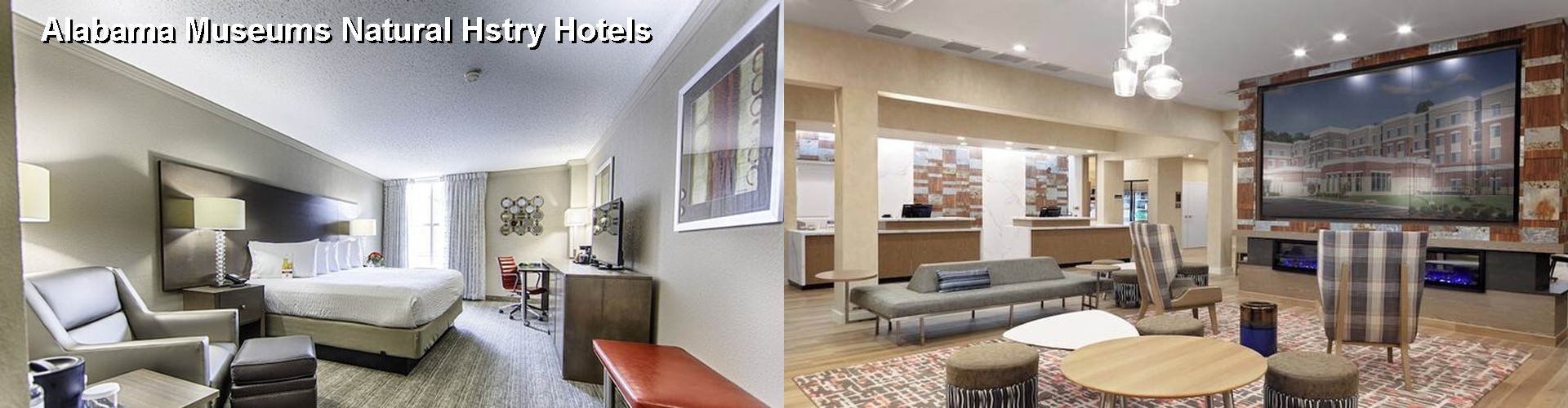 5 Best Hotels near Alabama Museums Natural Hstry